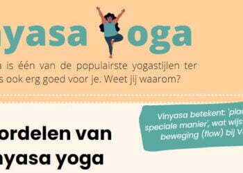 Vinyasa yoga Mindcelium