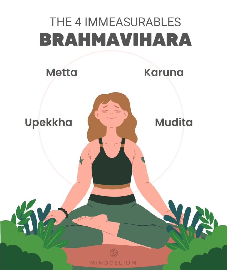 Brahmavihara en de four immeasurables