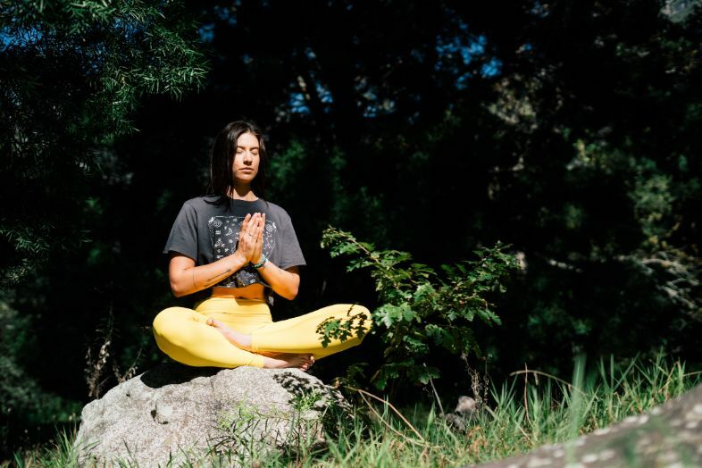 Brahmavihara en de four immeasurables zijn nauw verbonden met meditatie