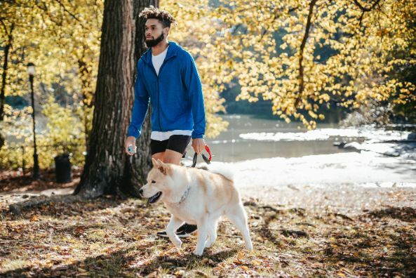 Sadhana kan ook betekenen dat je bewust tijd doorbrengt in de natuur, of met dieren