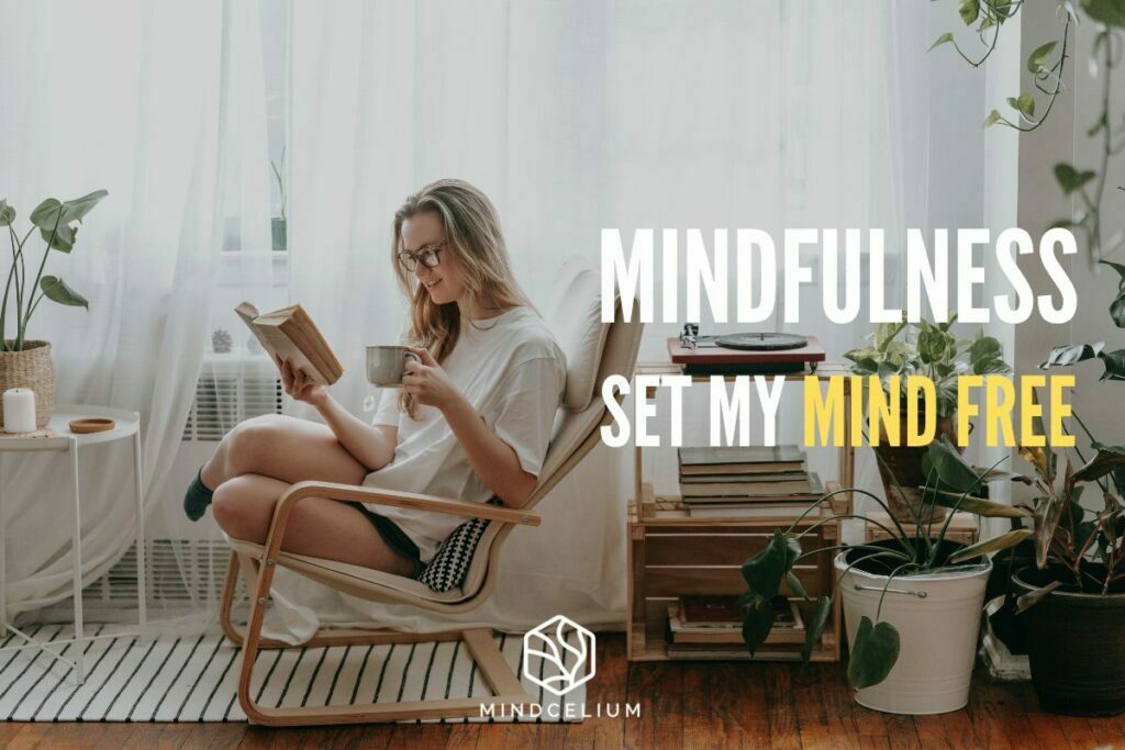 Mindcelium Mindfulness 3