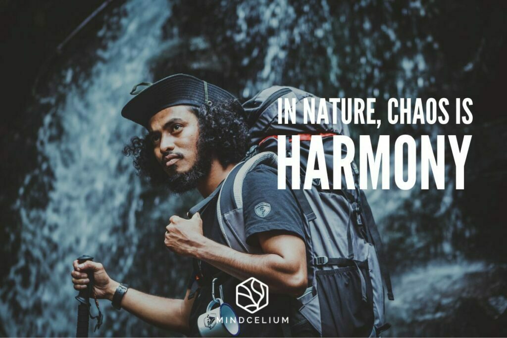 Biophilia is de liefde voor alles wat natuurlijk is.