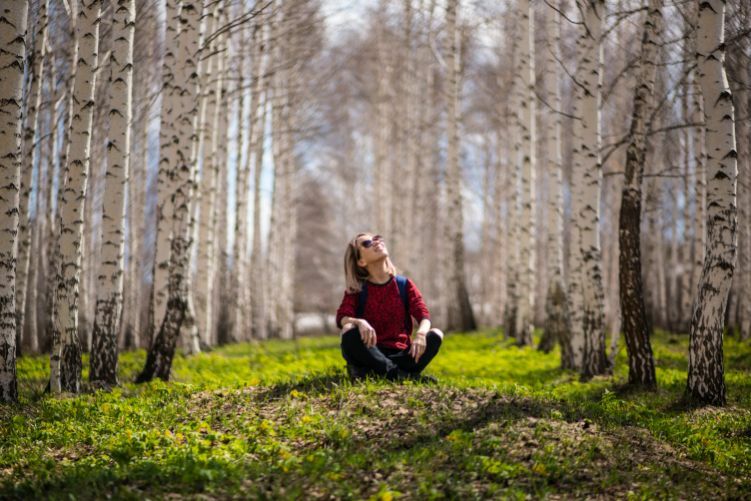 Forest Bathing is goed omdat je toegang hebt tot phytoncides