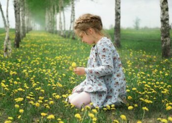Wat kan je wildplukken in Nederland